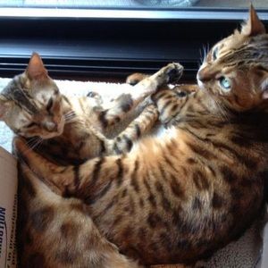 Meet your Posher, Paula